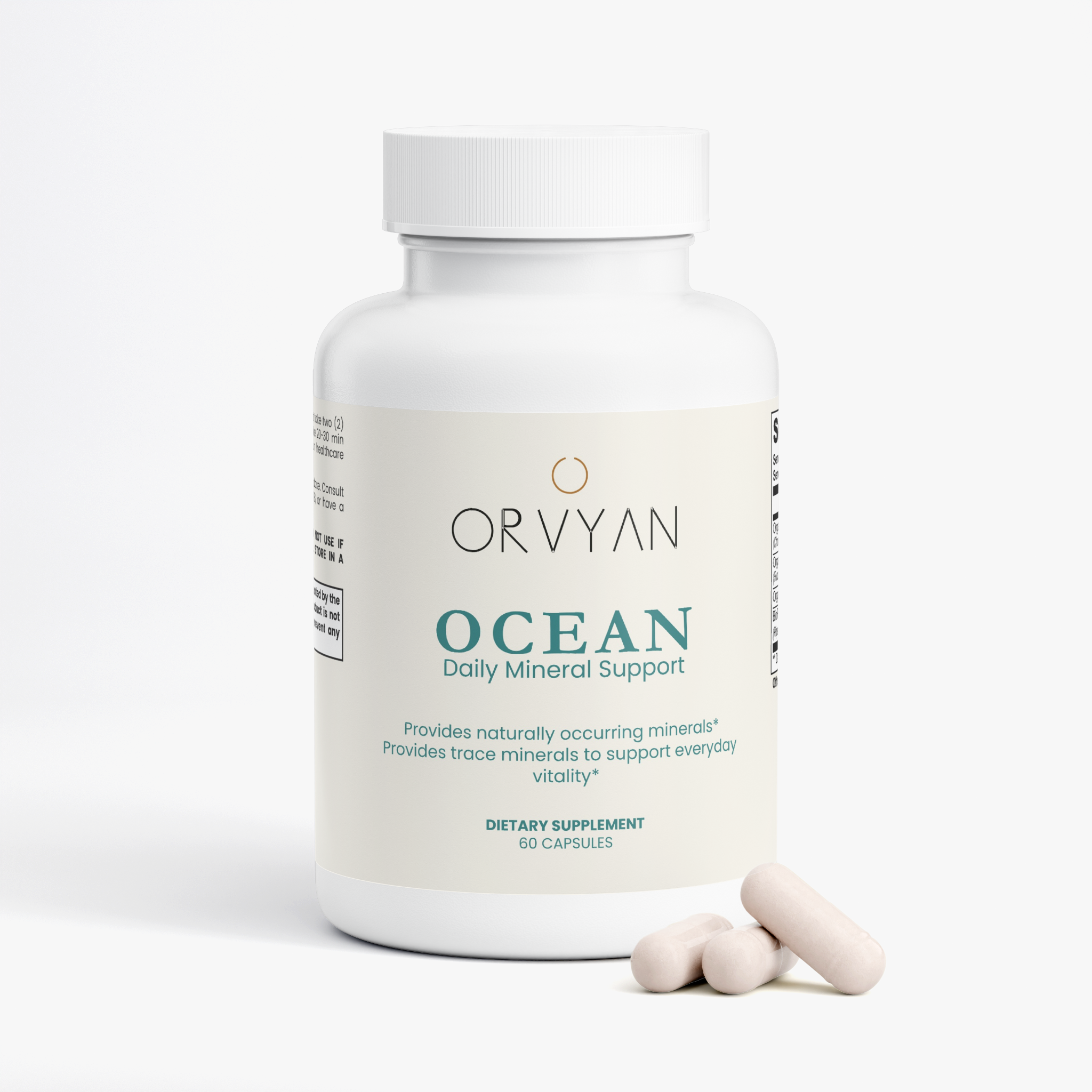 OCEAN